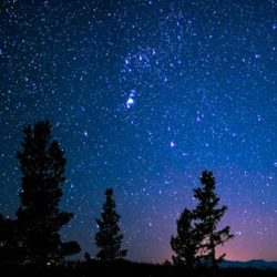 Just a Twinkle Theme and Variations